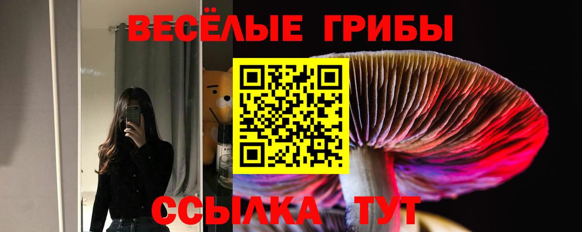 Галлюциногенные грибы Psilocybine cubensis  Вход с VPN  Мыски 